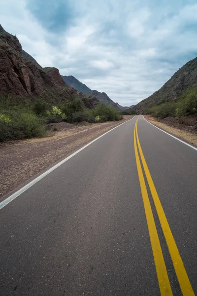 Vista del camino andino —  Fotos de Stock