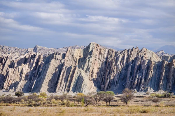 Andes argentinos vista — Fotografia de Stock