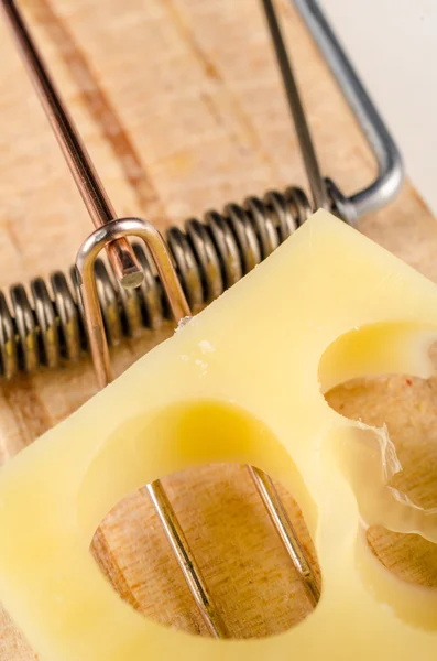 Queso en una trampa de ratón —  Fotos de Stock