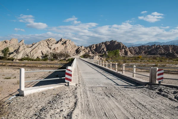 Andean dirt road — Stock Photo, Image