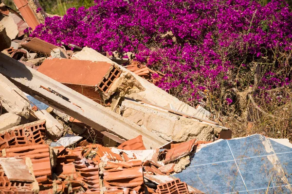 Příroda vrací zpět — Stock fotografie