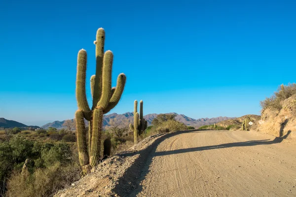 Andes onverharde weg — Stockfoto