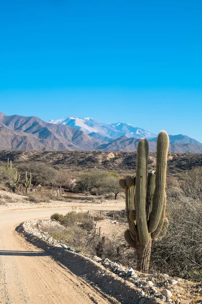 Andes onverharde weg — Stockfoto
