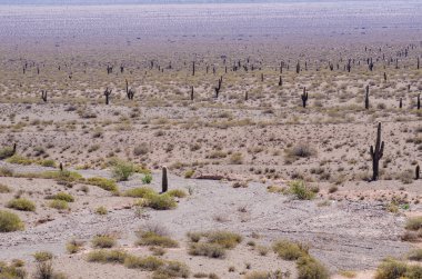 Görünüm and Highlands