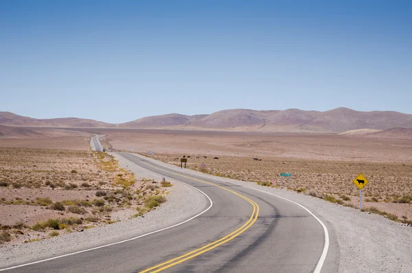 Strada attraverso il Parco Nazionale di Los Cardones — Foto Stock