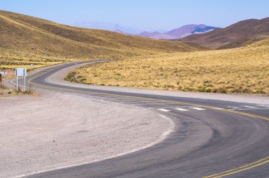Yol boyunca Los Cardones Milli Parkı