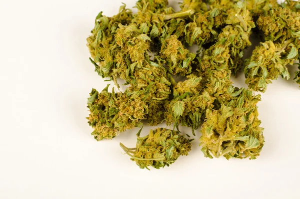 Cannabis brotes montón — Foto de Stock