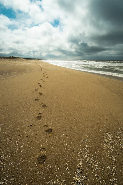 Ślady stóp na plaży piaskowej — Zdjęcie stockowe