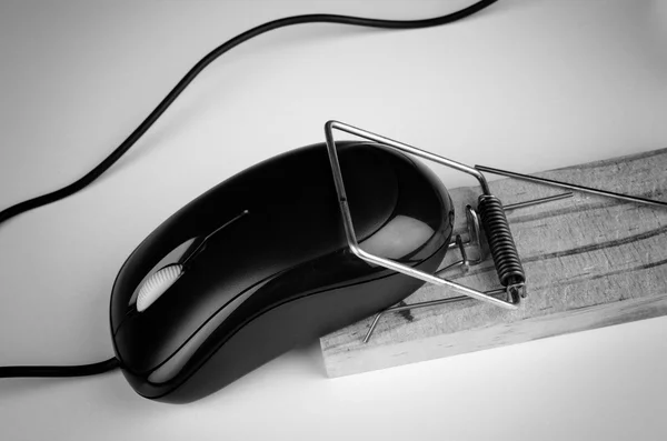 Computer mouse in a trap — Stock Photo, Image