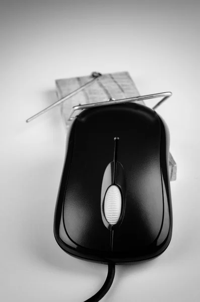 Mouse del computer in una trappola — Foto Stock