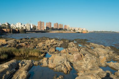 Montevideo shore görünümü