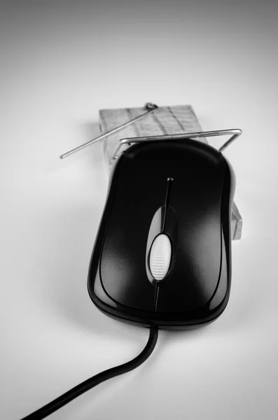 Computer mouse in a trap — Stock Photo, Image