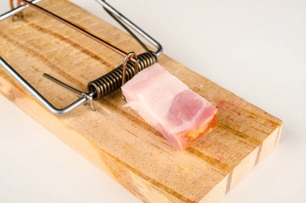 Mousetrap with piece of bacon — Stock Photo, Image