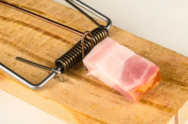 Mousetrap with piece of bacon — Stock Photo, Image