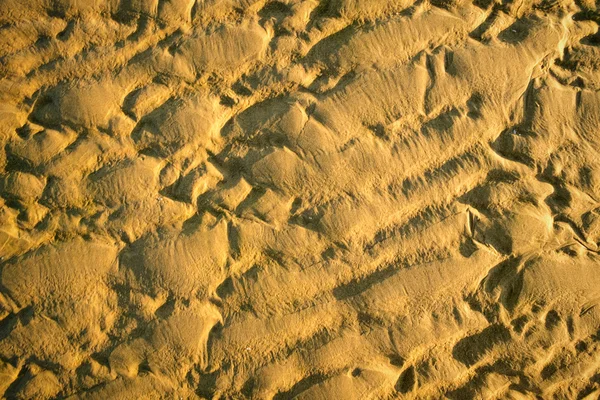 沙丘上的沙浪 — 图库照片