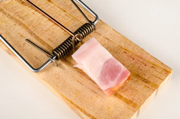 Mousetrap with fresh bacon — Stock Photo, Image