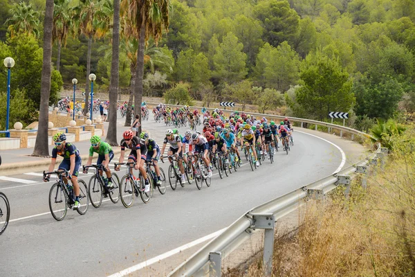 La Vuelta Peloton — Fotografie, imagine de stoc