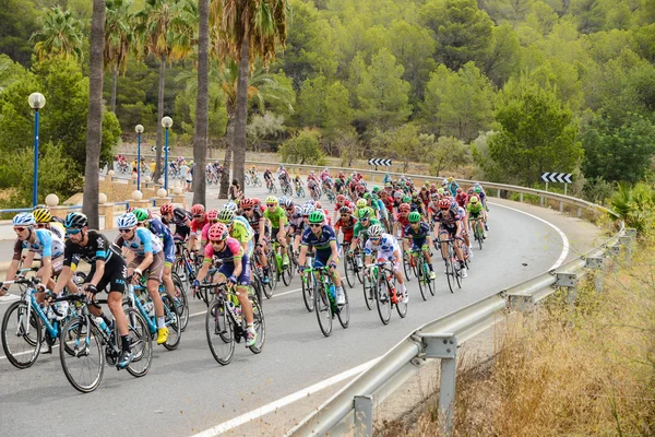 La Vuelta pelotão — Fotografia de Stock