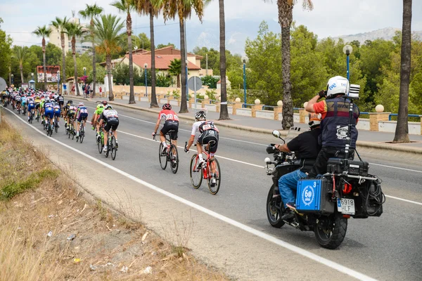 Das Vuelta-Peloton — Stockfoto