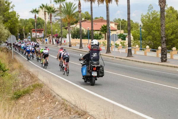 Das Vuelta-Peloton — Stockfoto