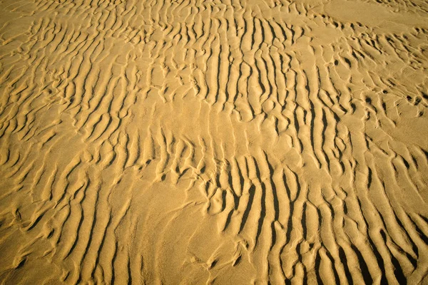 Areia ondulada em uma duna — Fotografia de Stock