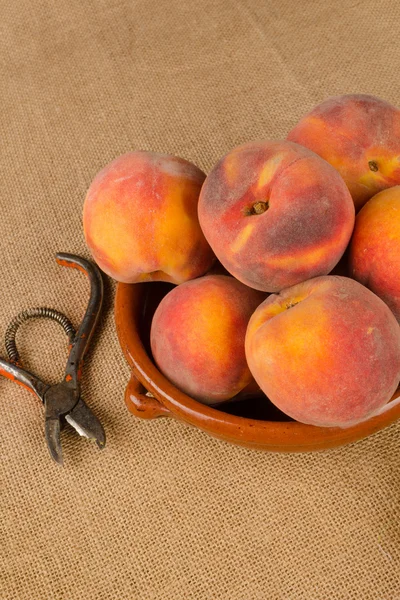 Peach harvest — Stock Photo, Image