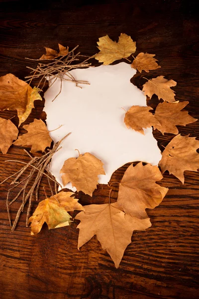 Autumn background — Stock Photo, Image