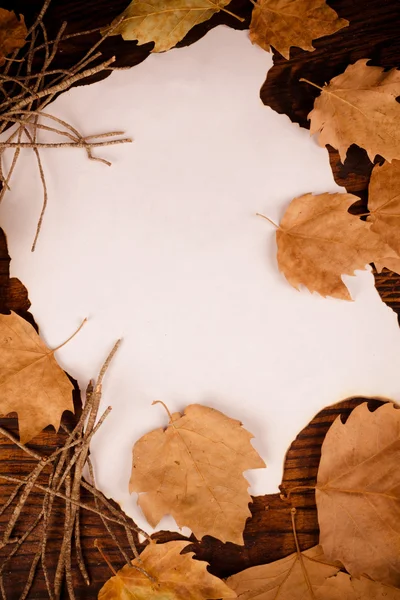 Fundo de outono — Fotografia de Stock