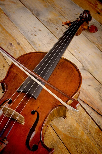 Geigen-Nahaufnahme — Stockfoto