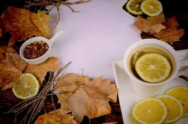 Chá de rooibos — Fotografia de Stock