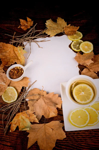 Chá de outono — Fotografia de Stock