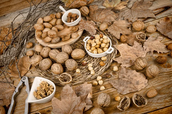 Nueces de otoño — Foto de Stock