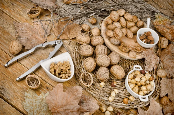 Nueces de otoño — Foto de Stock