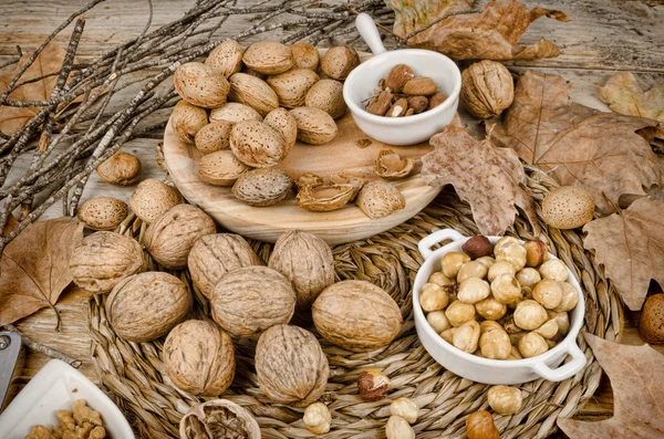 Autumn nuts — Stock Photo, Image