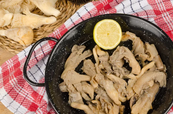 Tapa de cogumelos — Fotografia de Stock