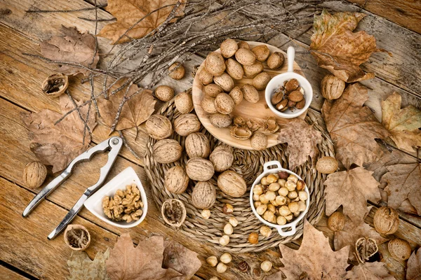 Autumn nuts — Stock Photo, Image