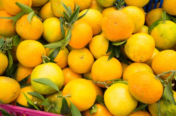 Tangerinas — Fotografia de Stock