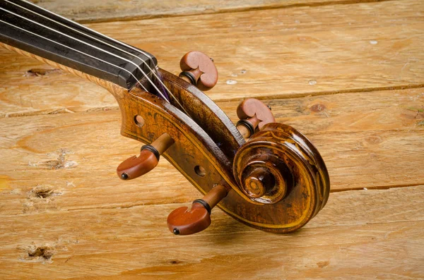 Pescoço de violino — Fotografia de Stock