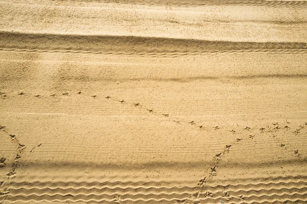 Impressões na areia — Fotografia de Stock