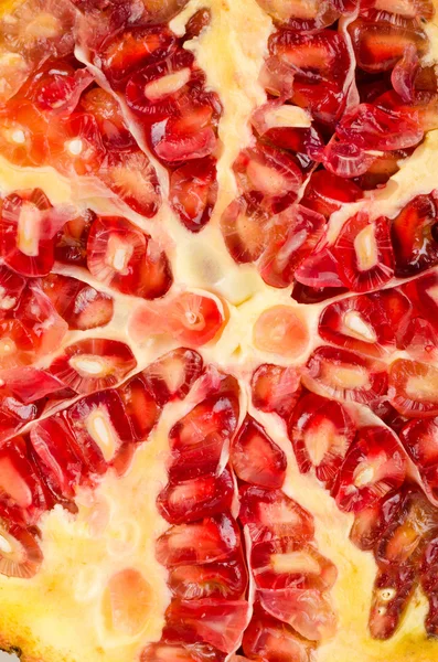 Pomegranate fruit — Stock Photo, Image