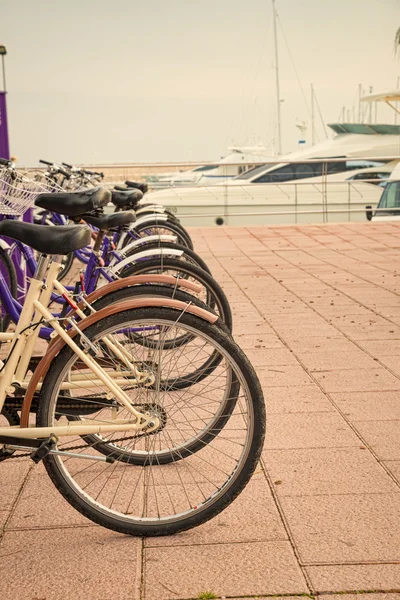 Wypożyczalnia rowerów — Zdjęcie stockowe