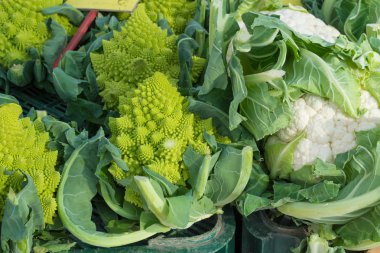 Karnabahar ve romanesco