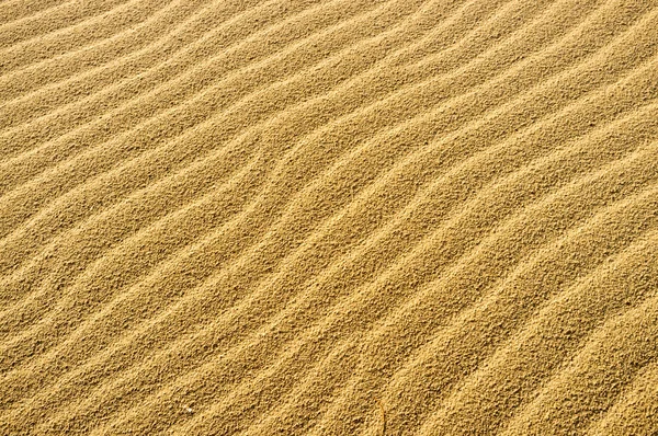 Golden undulated sand — Stock Photo, Image