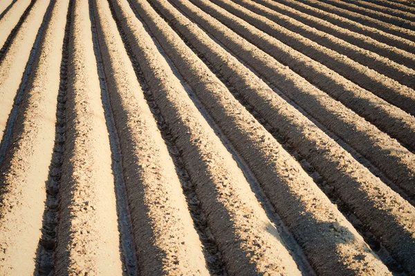 Deep freshly ploughed furrows — Stock Photo, Image