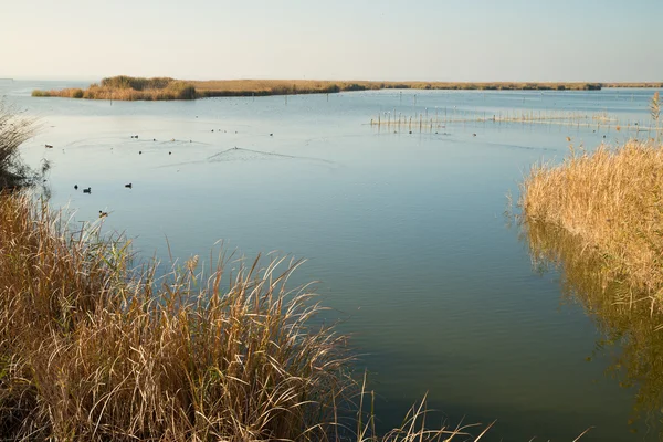 Albufera lagune landschap — Stockfoto