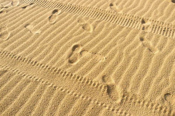 Tyre tracks and footprints — Stock Photo, Image