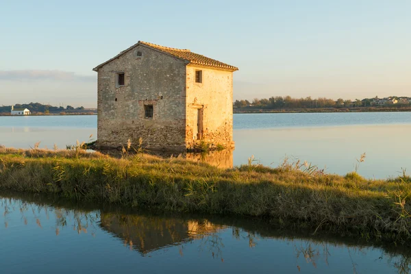 Flooded rice paddy — Stock Photo, Image