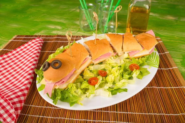 Сэндвич со змеей и свежим салатом — стоковое фото