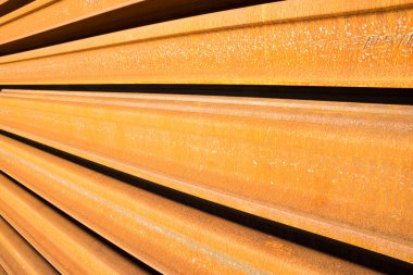 Paslı demiryolu raylar