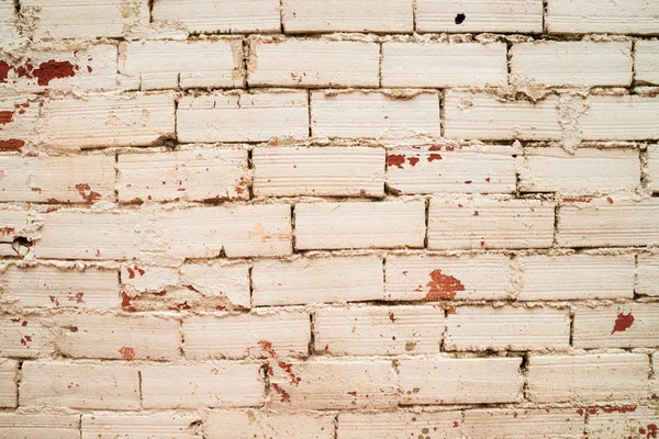 Brick wall texture — Stock Photo, Image